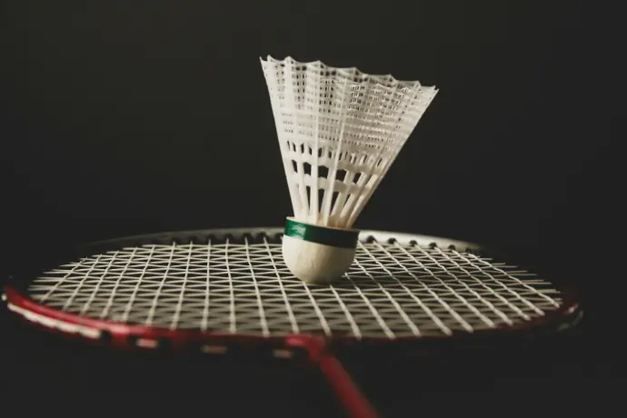 A badminton racket with a ball on it